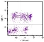 CD8 alpha Antibody in Flow Cytometry (Flow)
