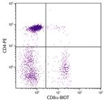 CD8 alpha Monoclonal Antibody (CT-8), Biotin