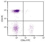 CD8 alpha Monoclonal Antibody (CT-8), FITC