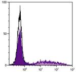 RLA-DR Monoclonal Antibody (RDR34), FITC