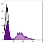 RLA-DQ Monoclonal Antibody (2C4), Biotin