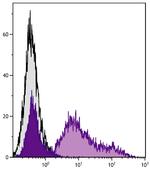 RLA-DQ Monoclonal Antibody (2C4)