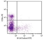 Pan B Cells Monoclonal Antibody (BB6-10A10), FITC