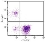 Bu-1a Monoclonal Antibody (21-1A4), PE