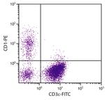 CD1 Antibody in Flow Cytometry (Flow)