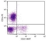 CD21 Antibody in Flow Cytometry (Flow)
