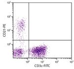 CD21 Monoclonal Antibody (BB6-11C9.6), PE