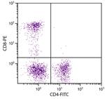 CD4 Antibody in Flow Cytometry (Flow)