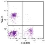 CD8 Antibody in Flow Cytometry (Flow)