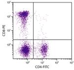 CD8 Antibody in Flow Cytometry (Flow)