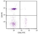 CD8 alpha Monoclonal Antibody (EP72), FITC