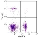CD8 alpha Monoclonal Antibody (EP72), PE