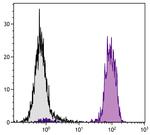 MHC Class I Monoclonal Antibody (F21-2), Biotin