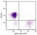 MHC Class II Monoclonal Antibody (2G11), FITC