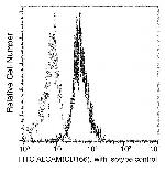 CD166 Recombinant Rabbit Monoclonal Antibody (018)