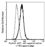 Angiotensinogen Antibody in Flow Cytometry (Flow)