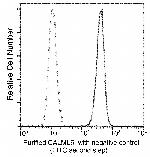 CALML5 Antibody in Flow Cytometry (Flow)