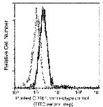 CD164 Antibody in Flow Cytometry (Flow)