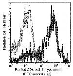 CD5 Antibody in Flow Cytometry (Flow)