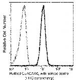 CEACAM6 Monoclonal Antibody (5E10C7)