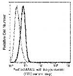 ASAM Monoclonal Antibody (1H2B5D10)