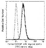 COX5B Recombinant Rabbit Monoclonal Antibody (031)