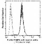 FABP4 Antibody in Flow Cytometry (Flow)