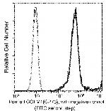 GOLPH2 Recombinant Rabbit Monoclonal Antibody (015)