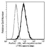 Latexin Monoclonal Antibody (02)
