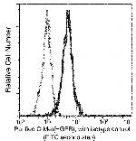 c-Met Recombinant Rabbit Monoclonal Antibody (243)