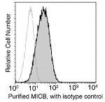 MICB Monoclonal Antibody (12)