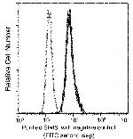 STAT6 Monoclonal Antibody (03)