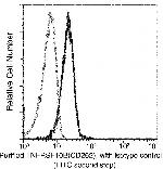 TRAIL-R2 (DR5) Recombinant Rabbit Monoclonal Antibody (102)