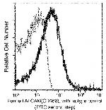 CD166 Antibody in Flow Cytometry (Flow)