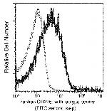 CD226 Recombinant Rabbit Monoclonal Antibody (26)