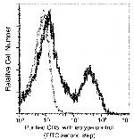 CD5 Recombinant Rabbit Monoclonal Antibody (114)