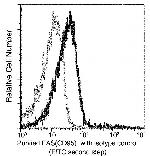 FAS Recombinant Rabbit Monoclonal Antibody (004)