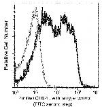 CD62L Antibody in Flow Cytometry (Flow)