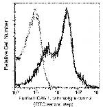 ICAM-1 Antibody in Flow Cytometry (Flow)
