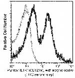 IL1R1 Recombinant Rabbit Monoclonal Antibody (007)