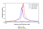 CTCF Antibody in ChIP Assay (ChIP)