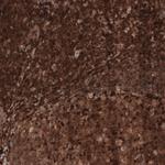 Profilin 1 Monoclonal Antibody (CL3524)