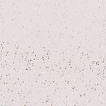 FOXP2 Antibody in Immunohistochemistry (Paraffin) (IHC (P))