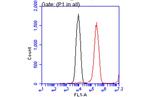 Glypican 3 Antibody in Flow Cytometry (Flow)
