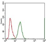 MRP4 Antibody in Flow Cytometry (Flow)