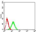 ADAR Antibody in Flow Cytometry (Flow)
