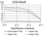 ADORA2A Antibody in ELISA (ELISA)
