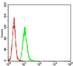 AFAP1L2 Antibody in Flow Cytometry (Flow)