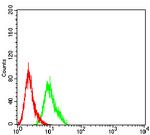 AFAP1L2 Antibody in Flow Cytometry (Flow)