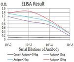 APC1 Antibody in ELISA (ELISA)